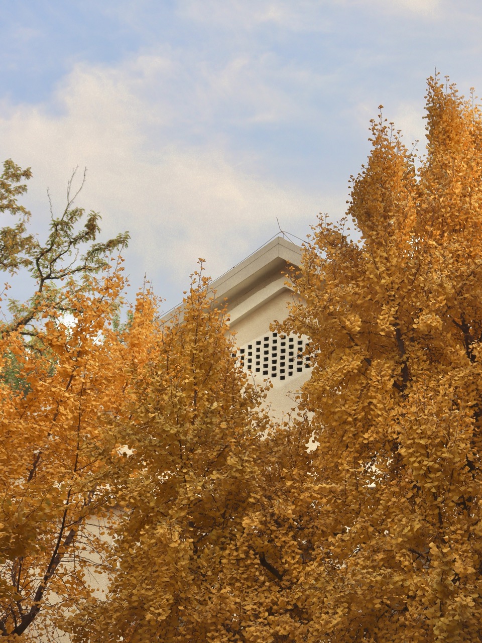 University of Science and Technology Beijing